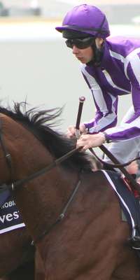 St Nicholas Abbey, Irish racehorse, dies at age 6